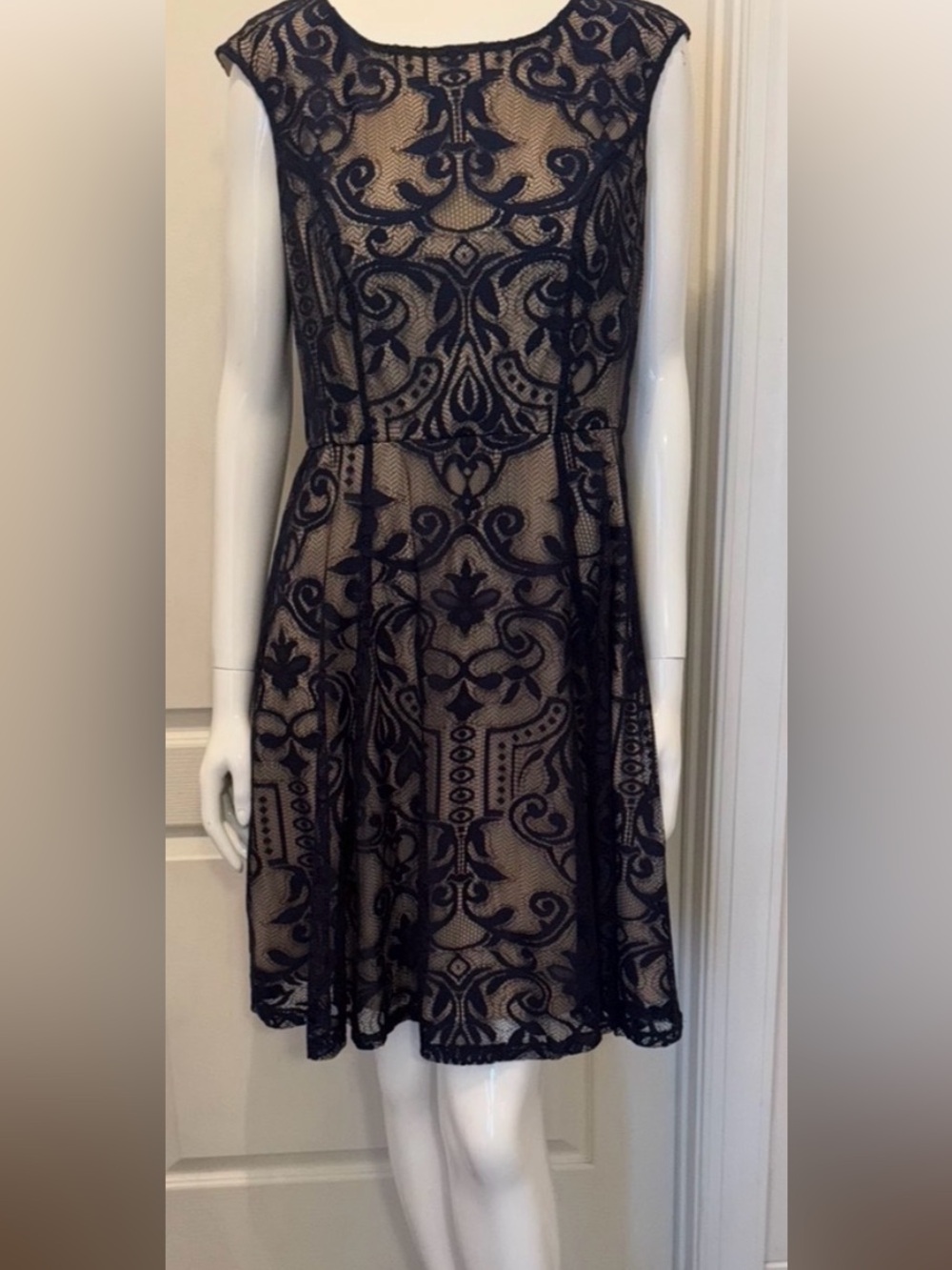 Navy Lace Overlay Fit & Flare Dress